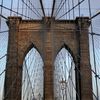 Australian Tourists Arrested On Brooklyn Bridge For Off-Limits Selfies